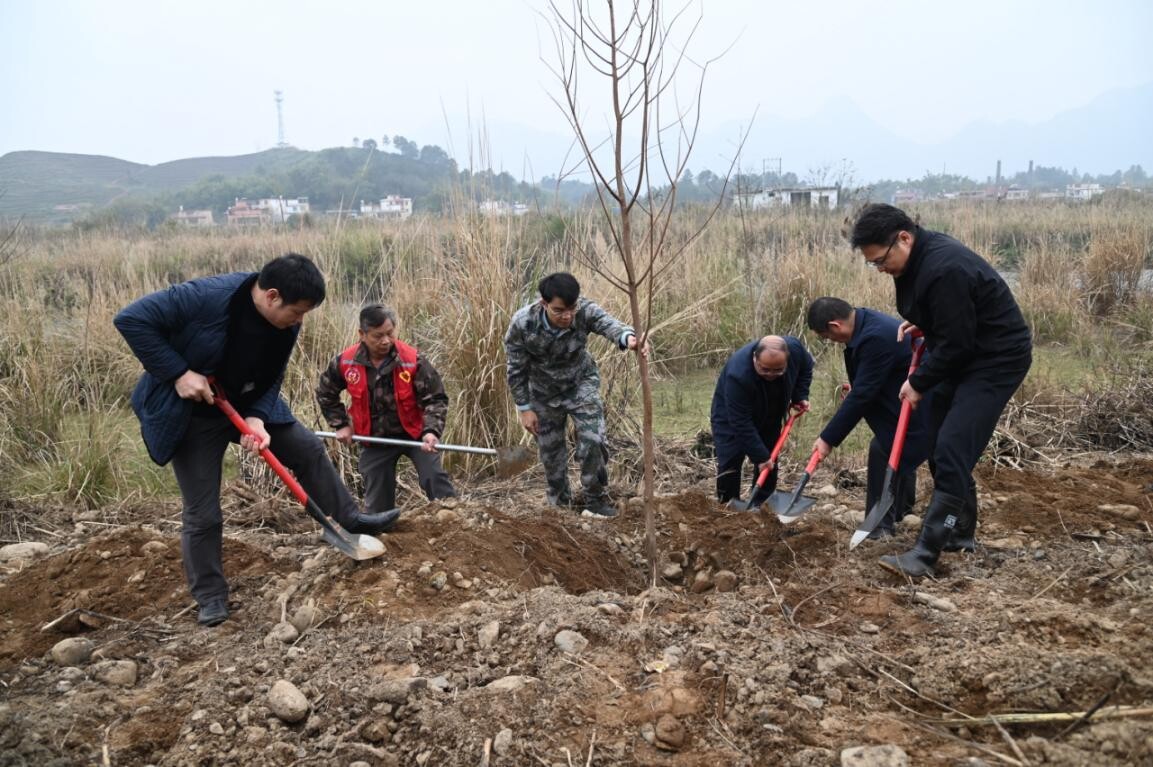 兵“林”城下 退役軍人走在綠美清遠(yuǎn)生態(tài)建設(shè)“第一方陣”，萬(wàn)株新苗筑牢粵北生態(tài)屏障